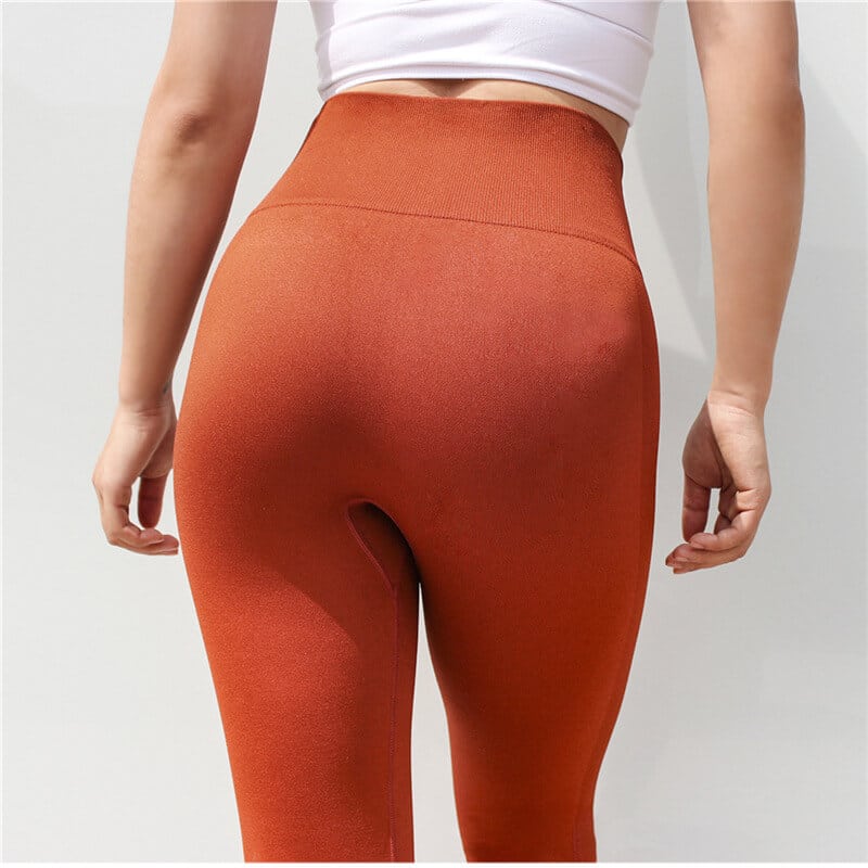 seamless gym leggings women